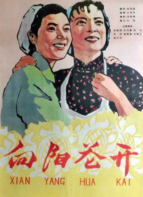 教授和女大学生们